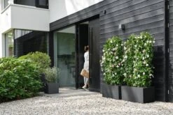 Elho Vivo Next Vierkant 40 - Plantenbak Voor Binnen & Buiten - Ø 39.0 X H 37.9 Cm - Zwart/Living Black 31 Elho Vivo Next Vierkant 40 - Plantenbak Voor Binnen & Buiten - Ø 39.0 X H 37.9 Cm - Zwart/Living Black -Tuin Kweekbenodigdheden 1200x800 178