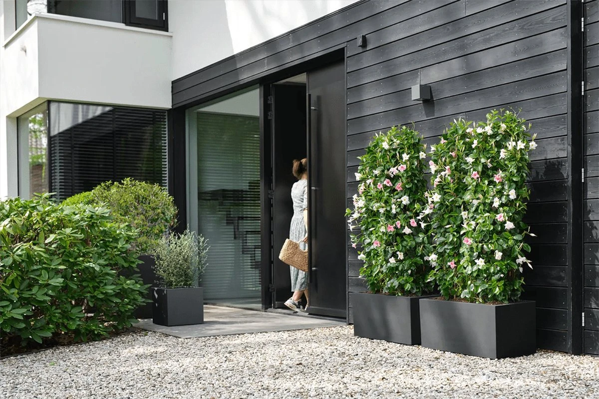 Elho Vivo Next Vierkant 40 - Plantenbak Voor Binnen & Buiten - Ø 39.0 X H 37.9 Cm - Zwart/Living Black 14 Elho Vivo Next Vierkant 40 - Plantenbak Voor Binnen & Buiten - Ø 39.0 X H 37.9 Cm - Zwart/Living Black - Afbeelding 12