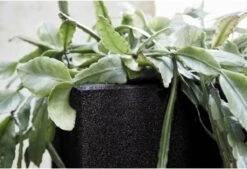 Capi Europe - Bloempot Vierkant Smooth NL - 40x40x40 - Zwart - Voor Binnen En Buiten - KBL903 27 Capi Europe - Bloempot Vierkant Smooth NL - 40x40x40 - Zwart - Voor Binnen En Buiten - KBL903 -Tuin Kweekbenodigdheden 1200x820 1