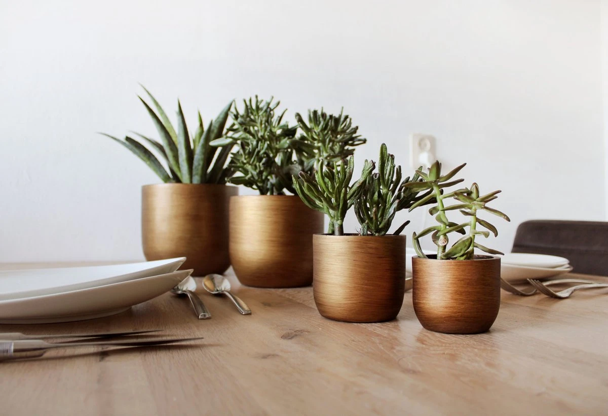 Capi Europe - Set Van 4 - Bloempot Binnen - Retro - - Goud - Bloempot Voor Binnen - BOX-BRTG-4 5 Capi Europe - Set Van 4 - Bloempot Binnen - Retro - - Goud - Bloempot Voor Binnen - BOX-BRTG-4 - Afbeelding 3