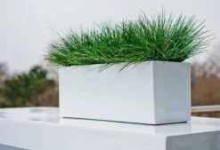 Langwerpige Witte Bloempot Van Naturn Living | Plantenbak | Bloempotten Voor Binnen En Buiten | Wit 7 Langwerpige Witte Bloempot Van Naturn Living | Plantenbak | Bloempotten Voor Binnen En Buiten | Wit -Tuin Kweekbenodigdheden 1200x821 1
