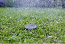 Tuin Kweekbenodigdheden -Tuin Kweekbenodigdheden 1200x823 1