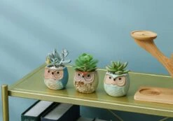Luxe Bamboe Houten Boom Met 3 Keramiek Uil Bloempotten/Plantenpotten Op Standaard/Voet Voor Binnen En Buiten - Modern Design Bloempot/Plantenpot Op Poten/Pootjes-Plantenbak Mini Cactus Nep Plant Pot Houder - Kleine Bloembakken Plantenrek/Plantenkurk 14 Luxe Bamboe Houten Boom Met 3 Keramiek Uil Bloempotten/Plantenpotten Op Standaard/Voet Voor Binnen En Buiten - Modern Design Bloempot/Plantenpot Op Poten/Pootjes-Plantenbak Mini Cactus Nep Plant Pot Houder - Kleine Bloembakken Plantenrek/Plantenkurk -Tuin Kweekbenodigdheden 1200x840 3