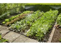 GARDENA Micro Drip System Bloembed En Moestuin Startset Druppelsysteem - 25 Meter -Tuin Kweekbenodigdheden 1200x844 1