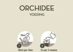 Pokon Orchidee Voeding - 250ml - Plantenvoeding - 10ml Per 1L Water 10 Pokon Orchidee Voeding - 250ml - Plantenvoeding - 10ml Per 1L Water -Tuin Kweekbenodigdheden 1200x856 2
