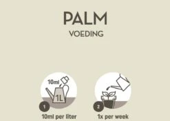 Pokon Palm Voeding - 250ml - Plantenvoeding - 10ml Per 1L Water 12 Pokon Palm Voeding - 250ml - Plantenvoeding - 10ml Per 1L Water -Tuin Kweekbenodigdheden 1200x856