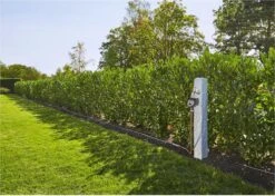 GARDENA - Besproeiingscomputer Flex - Geen App Vereist 20 GARDENA - Besproeiingscomputer Flex - Geen App Vereist -Tuin Kweekbenodigdheden 1200x856 3