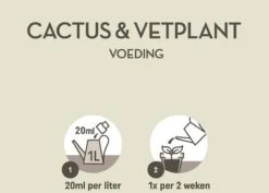 Pokon Cactus & Vetplant Voeding - 250ml - Plantenvoeding - 20ml Per 1L Water 10 Pokon Cactus & Vetplant Voeding - 250ml - Plantenvoeding - 20ml Per 1L Water -Tuin Kweekbenodigdheden 1200x858