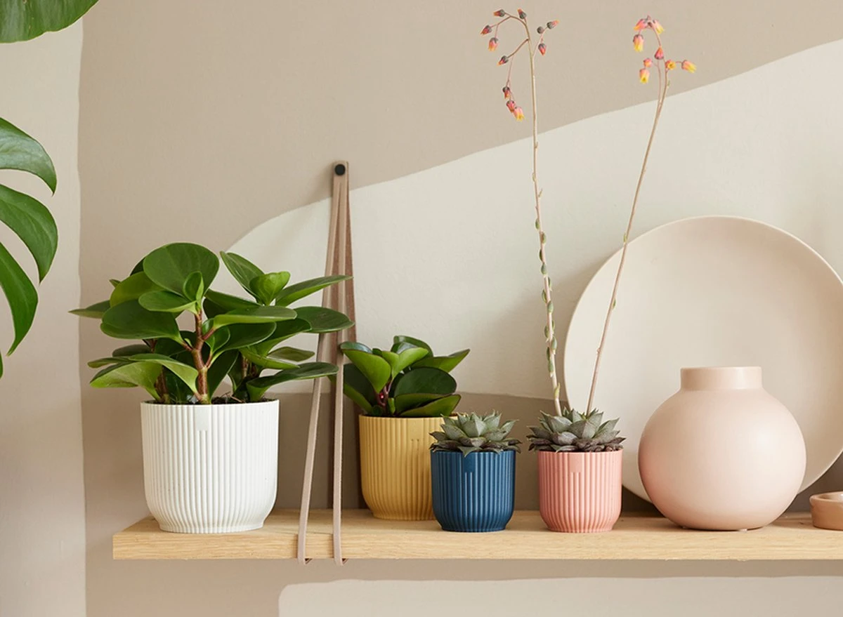 Elho Vibes Fold Rond 30 - Bloempot Voor Binnen - Ø 29.5 X H 27.2 Cm - Zijdewit 5 Elho Vibes Fold Rond 30 - Bloempot Voor Binnen - Ø 29.5 X H 27.2 Cm - Zijdewit - Afbeelding 3