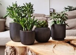 Capi Europe - Set Van 4 - Bloempot Binnen - Groove - Antraciet 9 Capi Europe - Set Van 4 - Bloempot Binnen - Groove - Antraciet -Tuin Kweekbenodigdheden 1200x881 1