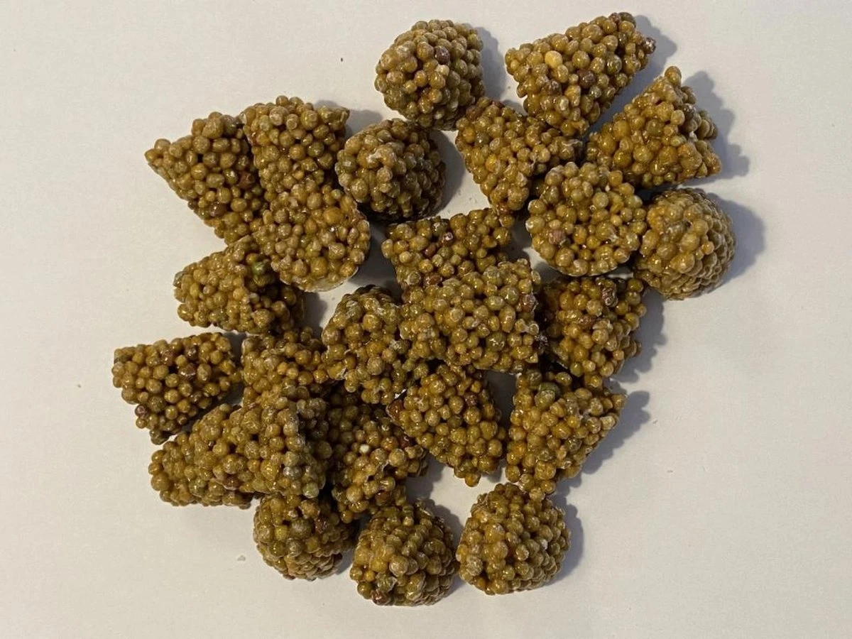 Ferrarium Planten Voedingstabletten (35 Stuks) - Plantenvoeding - Kamerplanten Voeding - Ecosysteem Voeding - Balkon Planten Voeding - Easytabs - Kamerplanten Voedingskegels 3 Ferrarium Planten Voedingstabletten (35 Stuks) - Plantenvoeding - Kamerplanten Voeding - Ecosysteem Voeding - Balkon Planten Voeding - Easytabs - Kamerplanten Voedingskegels