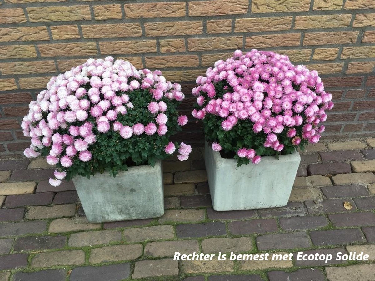 Ecotop Solide (Organisch / Tuinmest / Universeel). Meststof Op Basis Van Koemest Met Natuurlijke Toevoeging Van Wormenmest, Lavameel En Micro-organismen. Zak Ca. 40L. 4 Ecotop Solide (Organisch / Tuinmest / Universeel). Meststof Op Basis Van Koemest Met Natuurlijke Toevoeging Van Wormenmest, Lavameel En Micro-organismen. Zak Ca. 40L. - Afbeelding 2