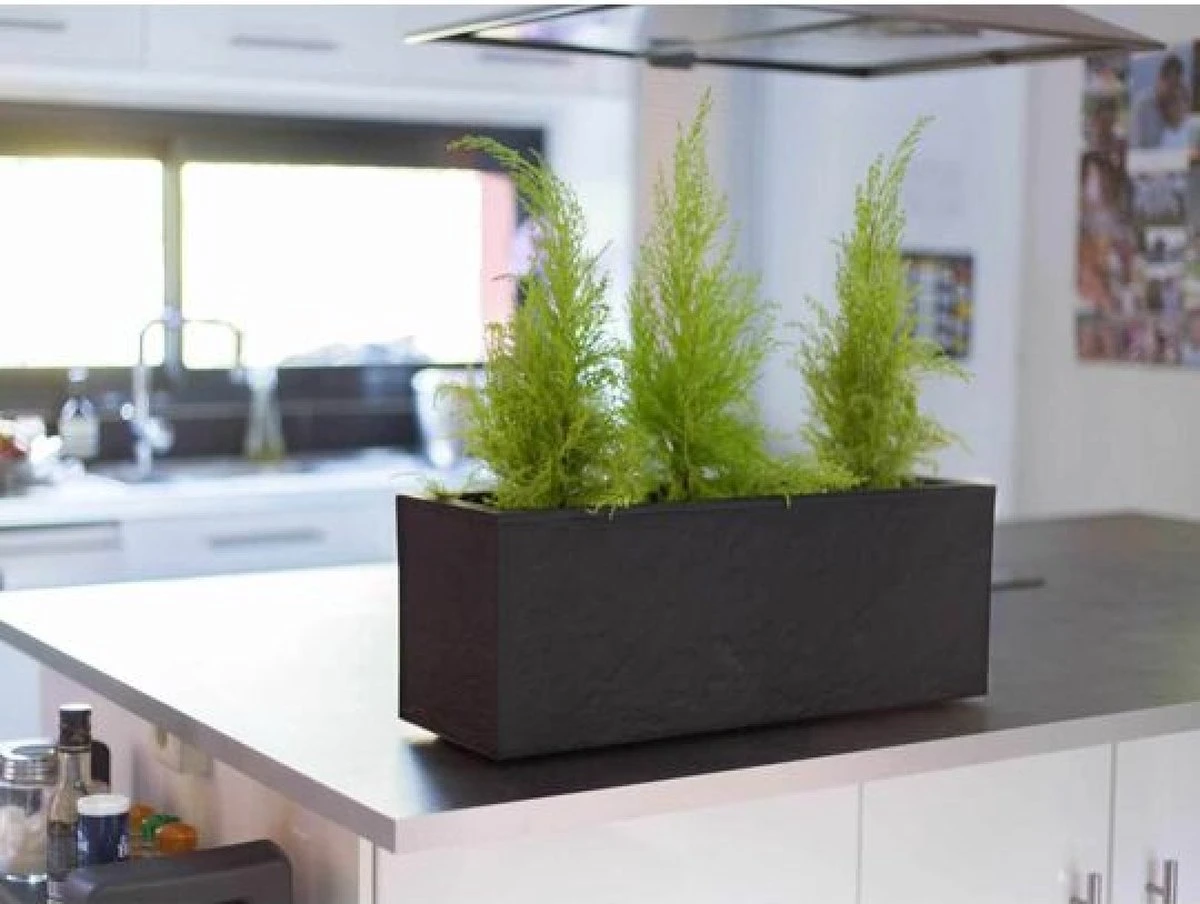 EDA Plantenbak - Bloembak - 25L - 59 X 19,5 X 22,8 Cm - Antraciet 4 EDA Plantenbak - Bloembak - 25L - 59 X 19,5 X 22,8 Cm - Antraciet - Afbeelding 2