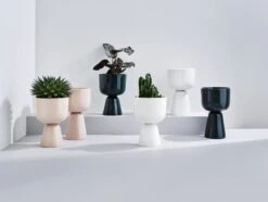 Iittala Nappula - Bloempot - Bloempotten Voor Binnen En Buiten - Plantenpotten - Wit - 230 X 155 Mm - 1 Stuk 21 Iittala Nappula - Bloempot - Bloempotten Voor Binnen En Buiten - Plantenpotten - Wit - 230 X 155 Mm - 1 Stuk -Tuin Kweekbenodigdheden 1200x906 1