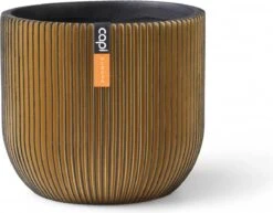 Capi Europe - Bloempot Bol Groove - 23x21 - Goud - Bloempot Voor Binnen - BGVGB134 20 Capi Europe - Bloempot Bol Groove - 23x21 - Goud - Bloempot Voor Binnen - BGVGB134 -Tuin Kweekbenodigdheden 1200x939 1