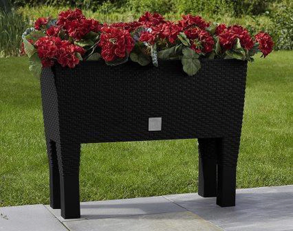 Prosperplast Kunststof Rato Plantenbak Op Poten Met Irrigatiesysteem Antraciet 80 X 33 X 62 Cm - 72 Liter - Balkonbakken/bloembakken 12 Prosperplast Kunststof Rato Plantenbak Op Poten Met Irrigatiesysteem Antraciet 80 X 33 X 62 Cm - 72 Liter - Balkonbakken/bloembakken - Afbeelding 10