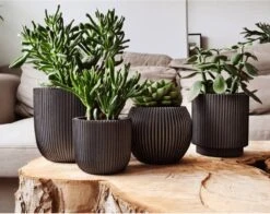 Capi Europe - Set Van 4 - Bloempot Binnen - Groove - Antraciet 11 Capi Europe - Set Van 4 - Bloempot Binnen - Groove - Antraciet -Tuin Kweekbenodigdheden 1200x953