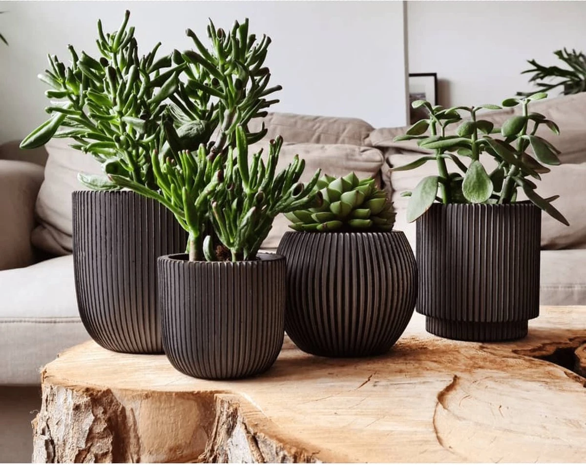 Capi Europe - Set Van 4 - Bloempot Binnen - Groove - Antraciet 7 Capi Europe - Set Van 4 - Bloempot Binnen - Groove - Antraciet - Afbeelding 5