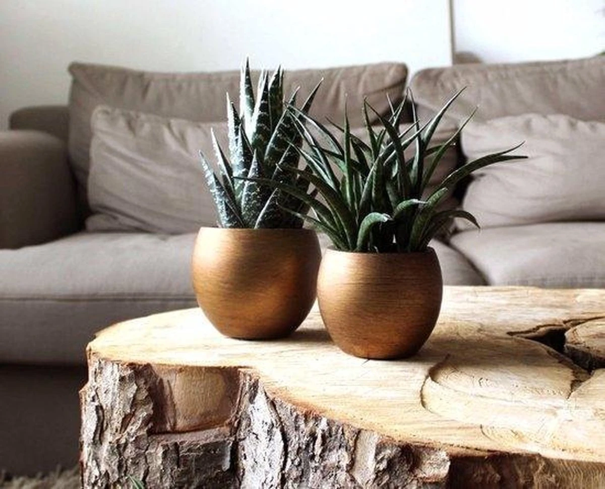 Capi Europe - Vaas Bol Retro - 30x25 - Goud - Bloempot Voor Binnen - BRTG104 4 Capi Europe - Vaas Bol Retro - 30x25 - Goud - Bloempot Voor Binnen - BRTG104 - Afbeelding 2