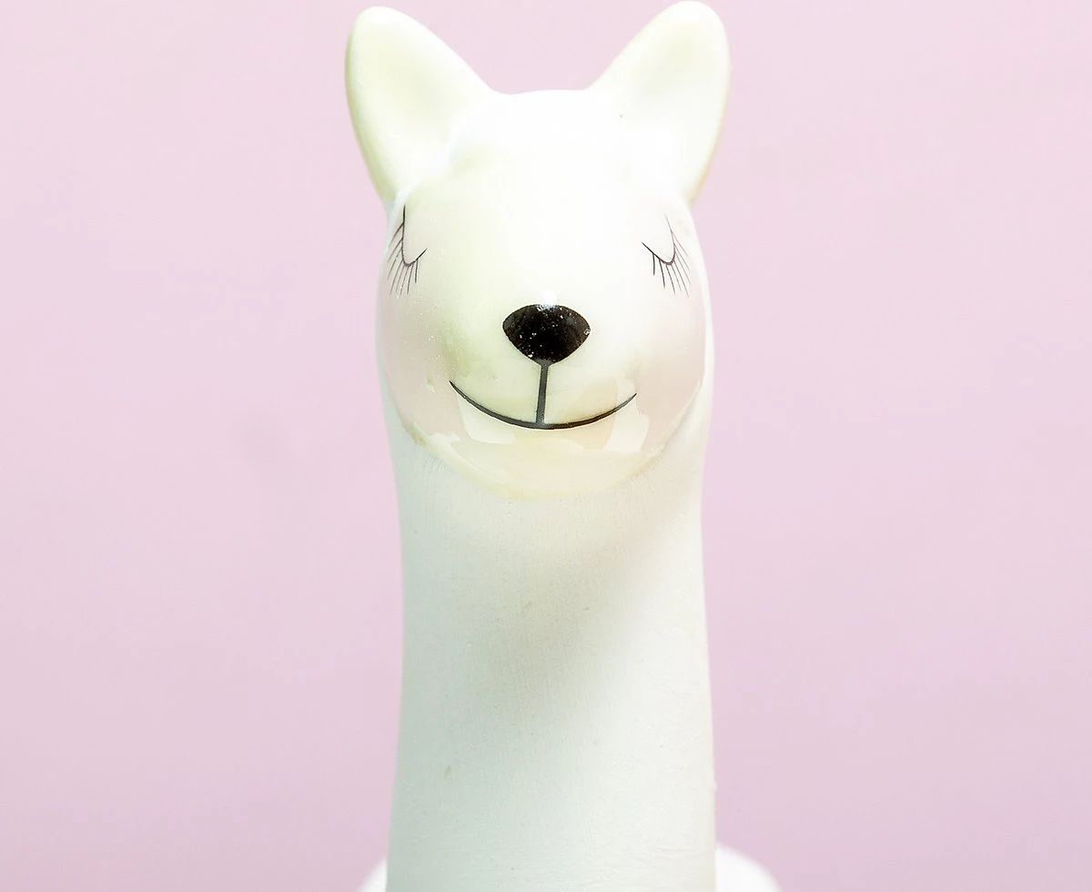 Gift Republic Lama Bloempot Met Zaadjes 3 Gift Republic Lama Bloempot Met Zaadjes