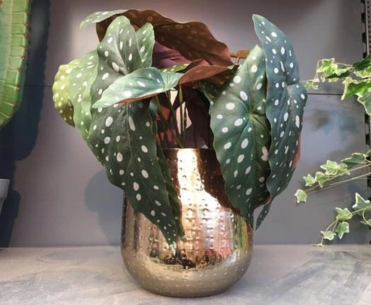 Gina Da Bloempot Karakter Goud - XL 6 Gina Da Bloempot Karakter Goud - XL - Afbeelding 4