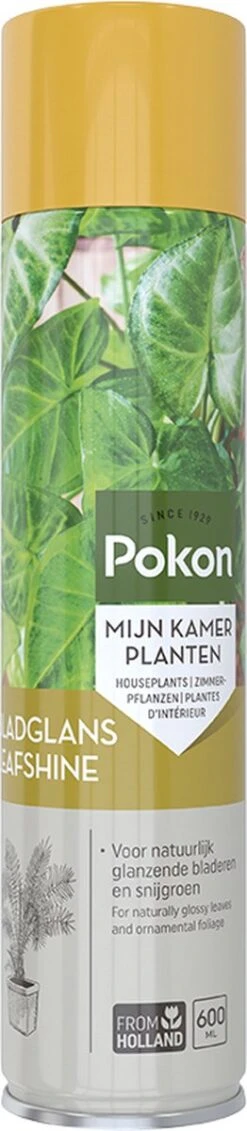 Pokon Bladglans 250ml -Tuin Kweekbenodigdheden 262x1200