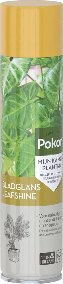 Pokon Bladglans 600ml -Tuin Kweekbenodigdheden 270x1200