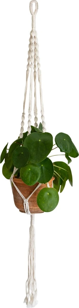 QUVIO Plantenhanger Voor Bloempot - Hangpot - Hangende Bloempot - Plantenhanger Macrame - Plantenhanger Binnen - Hangpotten - Plantenbakken - Hanging Baskets - Gevlochten Touw Met Spiralen 3 QUVIO Plantenhanger Voor Bloempot - Hangpot - Hangende Bloempot - Plantenhanger Macrame - Plantenhanger Binnen - Hangpotten - Plantenbakken - Hanging Baskets - Gevlochten Touw Met Spiralen