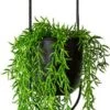Be-Inspired® Hangende Bloempot Ovaal - Bloempot Binnen - Voor Hangplant – Plant Bloem Pot Met Opknoping – Plantenhanger - Plantenbak - Industrieel – Scandinavisch - Metaal - Zwart 1 Be-Inspired® Hangende Bloempot Ovaal - Bloempot Binnen - Voor Hangplant – Plant Bloem Pot Met Opknoping – Plantenhanger - Plantenbak - Industrieel – Scandinavisch - Metaal - Zwart -Tuin Kweekbenodigdheden 314x1200