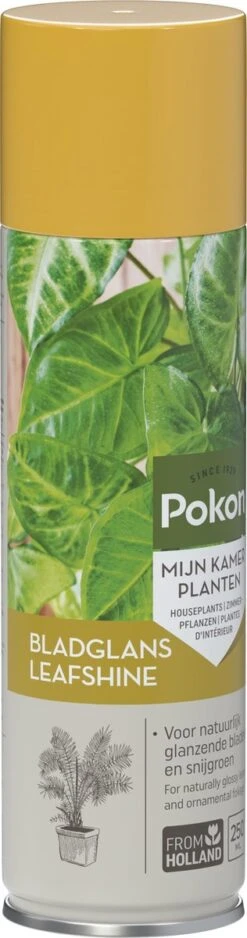 Pokon Bladglans 250ml -Tuin Kweekbenodigdheden 316x1200