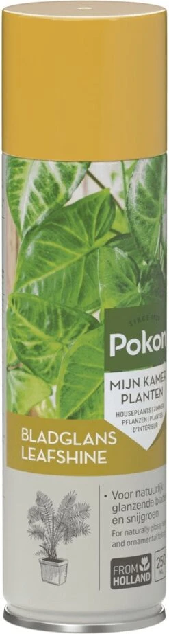 Pokon Bladglans 250ml -Tuin Kweekbenodigdheden 321x1200