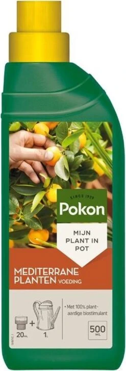 Pokon Mediterrane Planten Voeding - 500ml - Voor Citrus En Mediterrane Planten 5 Pokon Mediterrane Planten Voeding - 500ml - Voor Citrus En Mediterrane Planten -Tuin Kweekbenodigdheden 407x1200