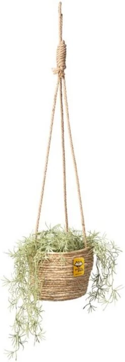 Merkloos Plantenhanger 18x15cm Naturel | Hangende Mand | Handgemaakt | Planten-houder / Hang-plant | Planten Accessoires | Hangmand 12 Merkloos Plantenhanger 18x15cm Naturel | Hangende Mand | Handgemaakt | Planten-houder / Hang-plant | Planten Accessoires | Hangmand -Tuin Kweekbenodigdheden 417x1200 1