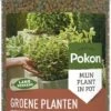 Pokon Voedingskorrels Voor Groene Planten - 800gr - 180 Dagen Voeding - Plantenvoeding 1 Pokon Voedingskorrels Voor Groene Planten - 800gr - 180 Dagen Voeding - Plantenvoeding -Tuin Kweekbenodigdheden 480x1200