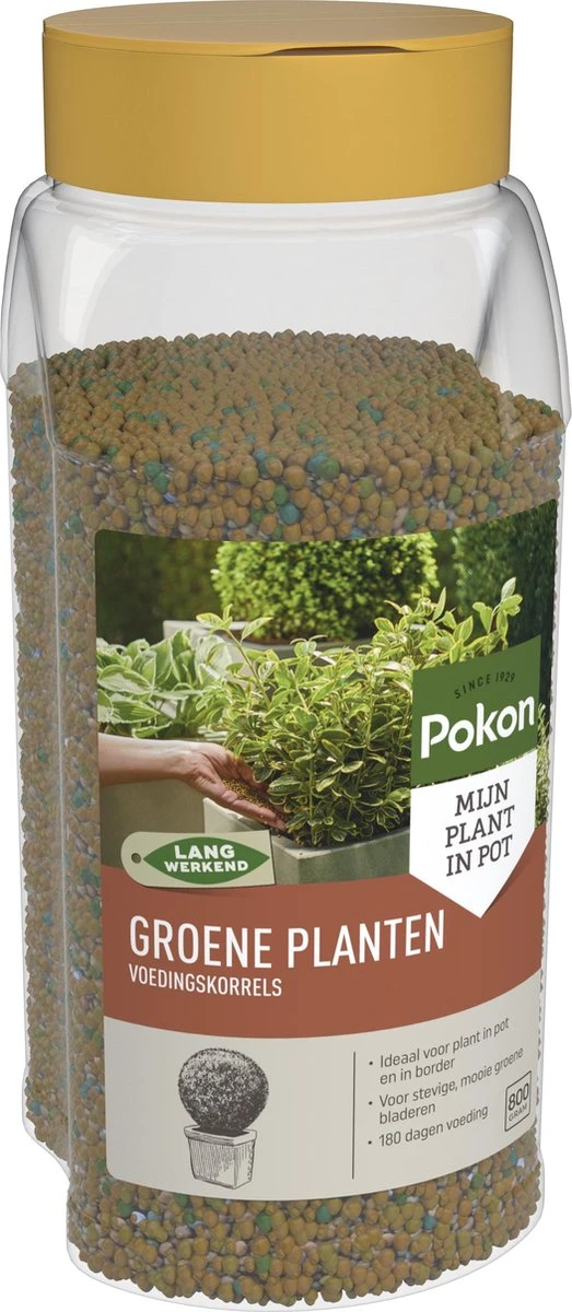 Pokon Voedingskorrels Voor Groene Planten - 800gr - 180 Dagen Voeding - Plantenvoeding 4 Pokon Voedingskorrels Voor Groene Planten - 800gr - 180 Dagen Voeding - Plantenvoeding - Afbeelding 2