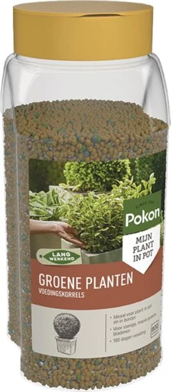 Pokon Voedingskorrels Voor Groene Planten - 800gr - 180 Dagen Voeding - Plantenvoeding 14 Pokon Voedingskorrels Voor Groene Planten - 800gr - 180 Dagen Voeding - Plantenvoeding -Tuin Kweekbenodigdheden 524x1200