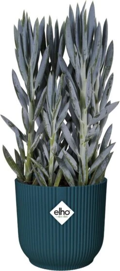 Elho Vibes Fold Rond Wielen 35 - Bloempot Voor Binnen - Ø 34.9 X H 32.4 Cm - Diepblauw -Tuin Kweekbenodigdheden 531x1200 3