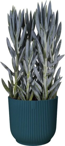 Elho Vibes Fold Rond Wielen 35 - Bloempot Voor Binnen - Ø 34.9 X H 32.4 Cm - Diepblauw -Tuin Kweekbenodigdheden 533x1200 2
