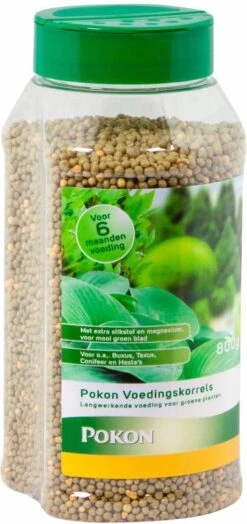 Pokon Voedingskorrels Voor Groene Planten - 800gr - 180 Dagen Voeding - Plantenvoeding 15 Pokon Voedingskorrels Voor Groene Planten - 800gr - 180 Dagen Voeding - Plantenvoeding -Tuin Kweekbenodigdheden 566x1200