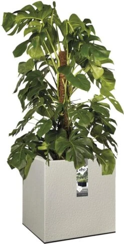 Elho Vivo Structure Finish Vierkant 40 - Plantenbak Voor Binnen & Buiten - Ø 39 X H 41 - Grijs/Warm Grijs 18 Elho Vivo Structure Finish Vierkant 40 - Plantenbak Voor Binnen & Buiten - Ø 39 X H 41 - Grijs/Warm Grijs -Tuin Kweekbenodigdheden 613x1200 2