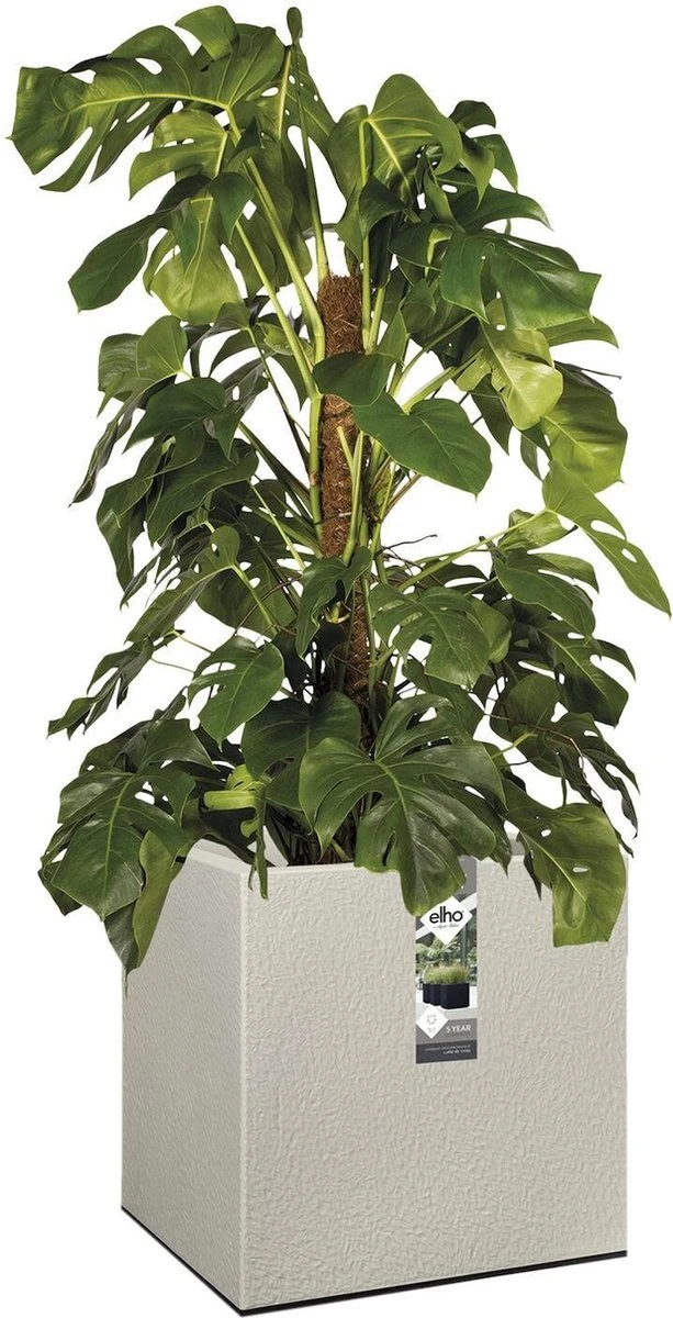 Elho Vivo Structure Finish Vierkant 40 - Plantenbak Voor Binnen & Buiten - Ø 39 X H 41 - Grijs/Warm Grijs 8 Elho Vivo Structure Finish Vierkant 40 - Plantenbak Voor Binnen & Buiten - Ø 39 X H 41 - Grijs/Warm Grijs - Afbeelding 6