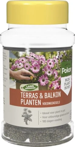 Pokon Voedingskegels Voor Terras- & Balkonplanten - 40 Stuks - 180 Dagen Voeding - Plantenvoeding 16 Pokon Voedingskegels Voor Terras- & Balkonplanten - 40 Stuks - 180 Dagen Voeding - Plantenvoeding -Tuin Kweekbenodigdheden 616x1200 2