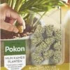 Pokon Kamerplanten Voedingskegels - 2x10st - Plantenvoeding - 6 Maanden Voeding 1 Pokon Kamerplanten Voedingskegels - 2x10st - Plantenvoeding - 6 Maanden Voeding -Tuin Kweekbenodigdheden 699x1200 2