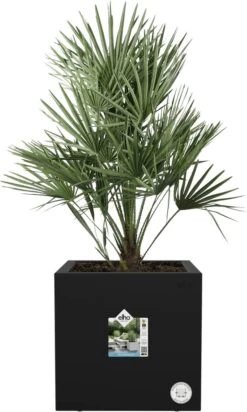 Elho Vivo Next Vierkant 40 - Plantenbak Voor Binnen & Buiten - Ø 39.0 X H 37.9 Cm - Zwart/Living Black 33 Elho Vivo Next Vierkant 40 - Plantenbak Voor Binnen & Buiten - Ø 39.0 X H 37.9 Cm - Zwart/Living Black -Tuin Kweekbenodigdheden 720x1200 3