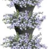 Elho Corsica Vertical Forest 24 - Bloempot Voor Balkonbuiten - Ø 26.7 X H 29.7 Cm - Zwart/Antraciet -Tuin Kweekbenodigdheden 765x1200 1