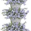 Elho Corsica Vertical Forest 24 - Bloempot Voor Balkonbuiten - Ø 26.7 X H 29.7 Cm - Wit/Wit -Tuin Kweekbenodigdheden 767x1200 1