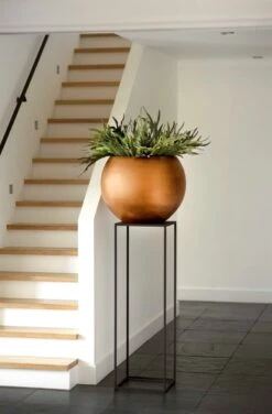 Capi Europe - Vaas Bol Retro - 30x25 - Goud - Bloempot Voor Binnen - BRTG104 15 Capi Europe - Vaas Bol Retro - 30x25 - Goud - Bloempot Voor Binnen - BRTG104 -Tuin Kweekbenodigdheden 788x1200