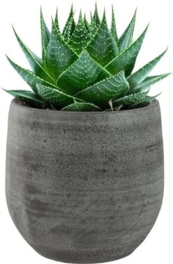 Pot Esra Mystic Grey Bloempot Binnen 15 Cm -Tuin Kweekbenodigdheden 789x1200 2