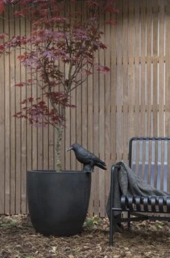 Capi Europe - Bloempot Bol Smooth NL - 54x52 - Zwart - Voor Binnen En Buiten - KBL935 -Tuin Kweekbenodigdheden 793x1200