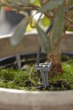 GARDENA Vakantiebewateringsset Duppelsysteem - Geschikt Voor 36 Potplanten - Incl. 9l Vat 17 GARDENA Vakantiebewateringsset Duppelsysteem - Geschikt Voor 36 Potplanten - Incl. 9l Vat -Tuin Kweekbenodigdheden 799x1200 22